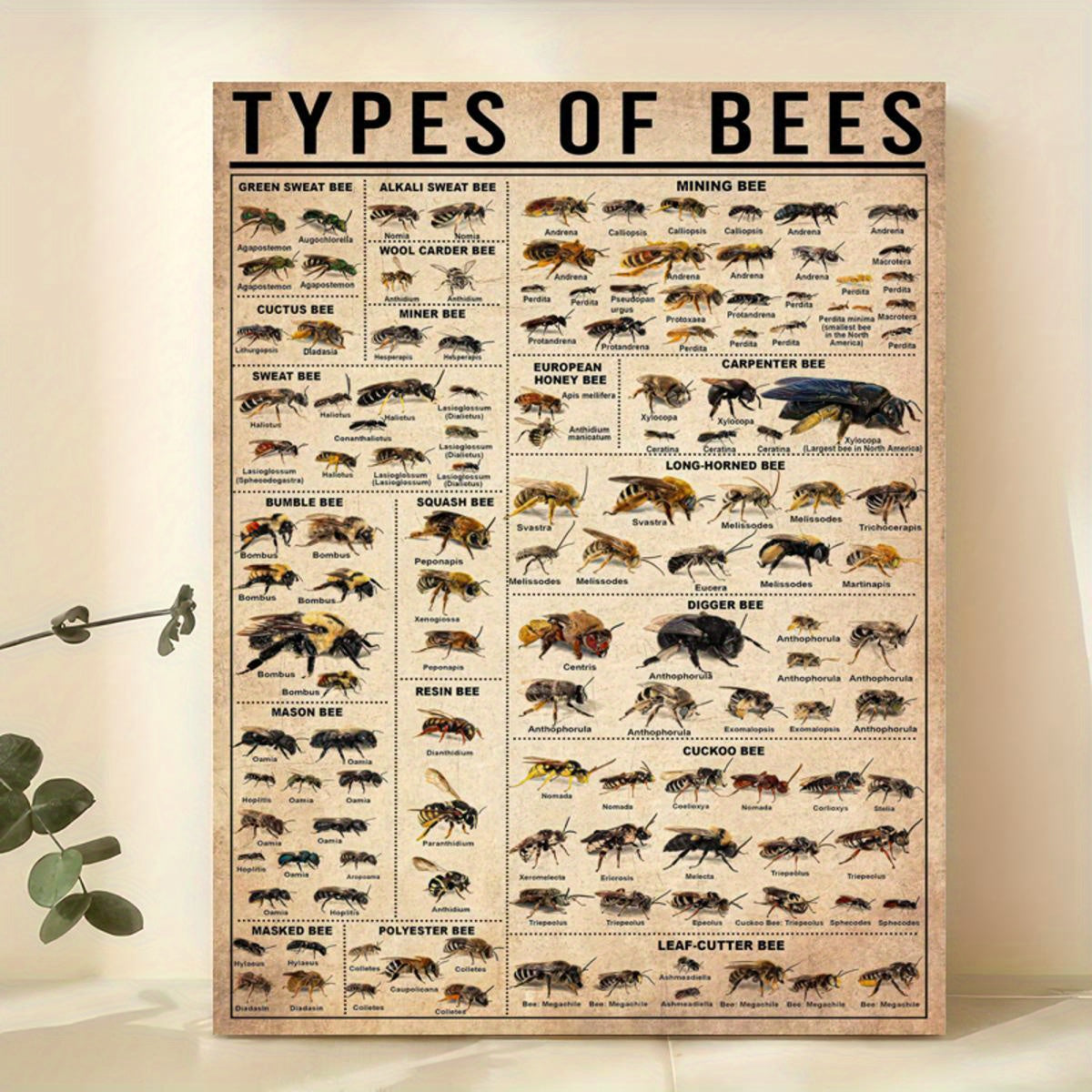 Canvas Wall Art Poster Featuring Bees and Insects Modern Frameless Animal Print for Living Room Bedroom