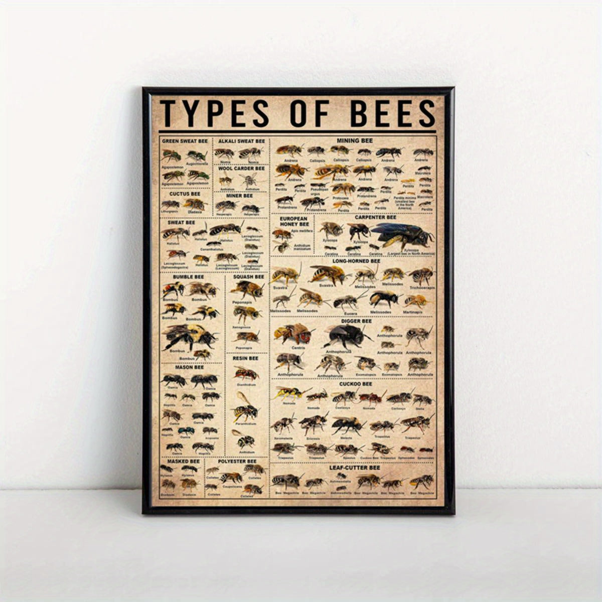 Oyna bo'lmagan zamonaviy hayvonlar bosma plakat bilan asalari va hasharotlar bilan devor san'ati plakati, yashash xonasi va yotoq xonasi uchun