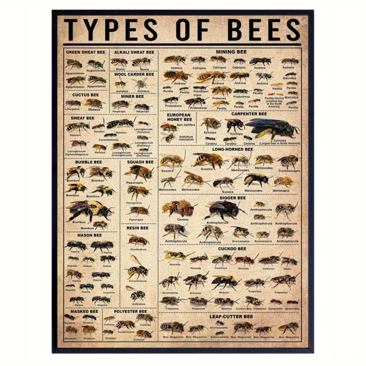 Canvas Wall Art Poster Featuring Bees and Insects Modern Frameless Animal Print for Living Room Bedroom