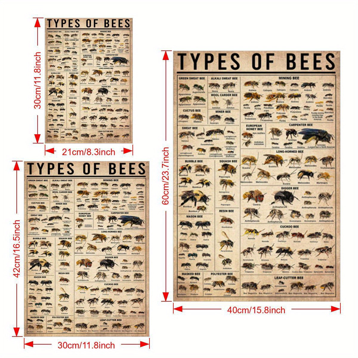 Oyna bo'lmagan zamonaviy hayvonlar bosma plakat bilan asalari va hasharotlar bilan devor san'ati plakati, yashash xonasi va yotoq xonasi uchun