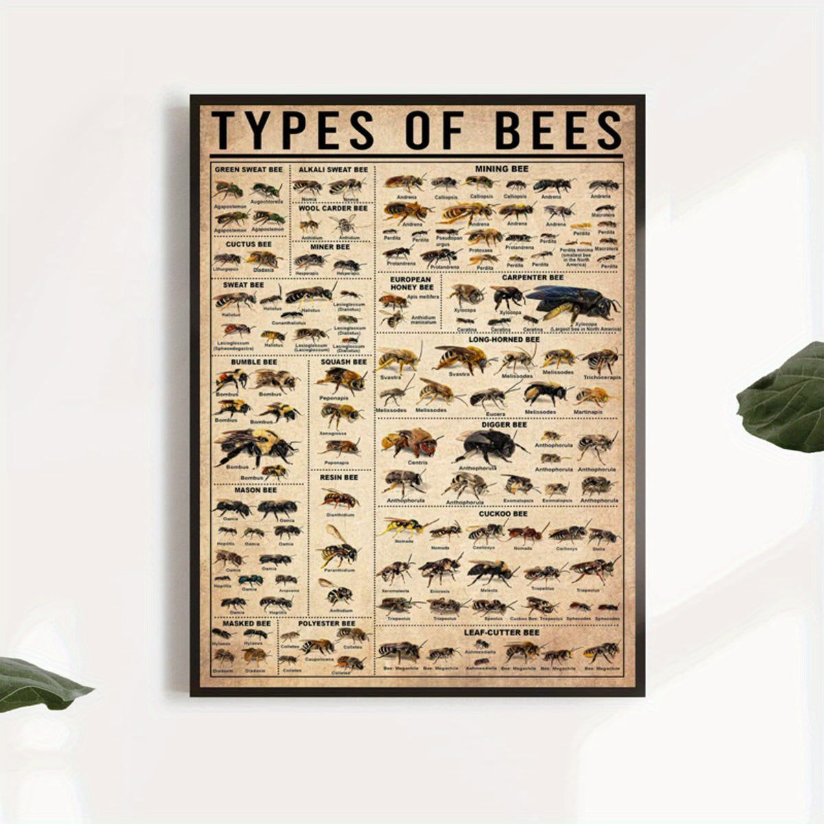 Oyna bo'lmagan zamonaviy hayvonlar bosma plakat bilan asalari va hasharotlar bilan devor san'ati plakati, yashash xonasi va yotoq xonasi uchun