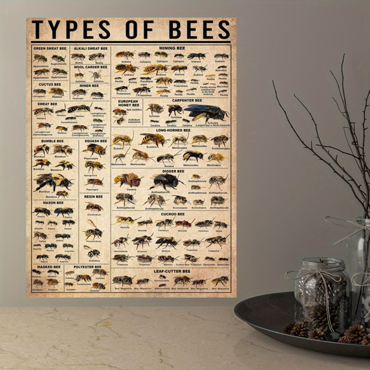 Oyna bo'lmagan zamonaviy hayvonlar bosma plakat bilan asalari va hasharotlar bilan devor san'ati plakati, yashash xonasi va yotoq xonasi uchun