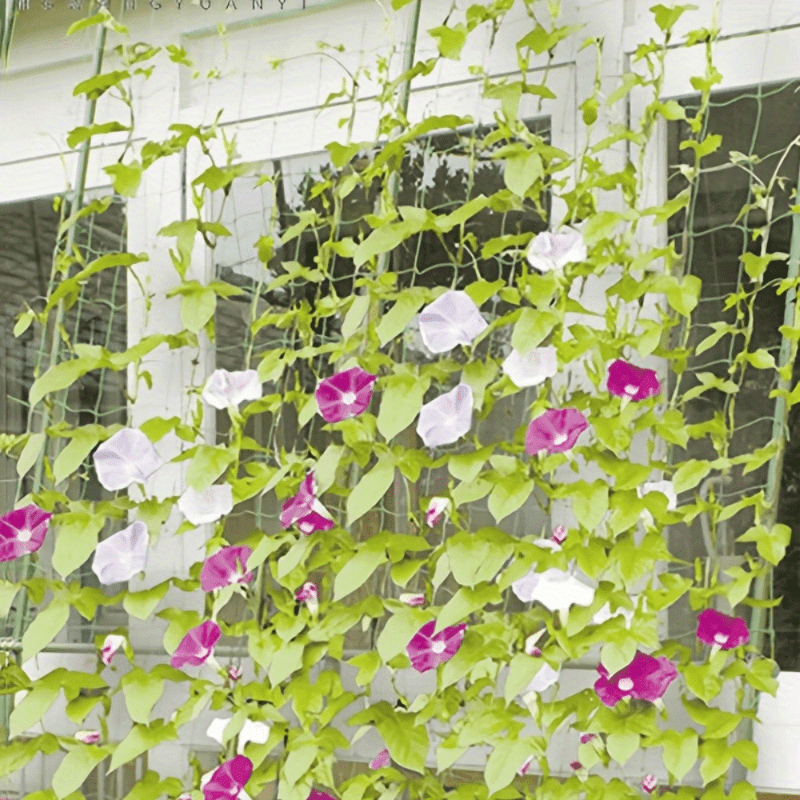 Plastic Garden Trellis for Flowers and Vines Green Balcony Lawn Support