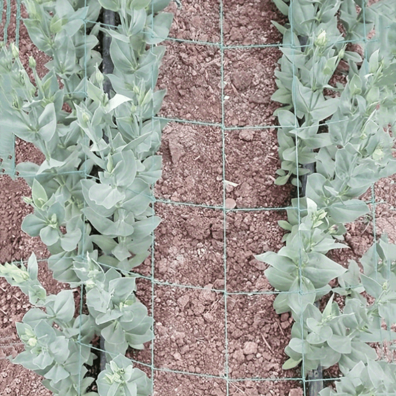 Plastic Garden Trellis for Flowers and Vines Green Balcony Lawn Support