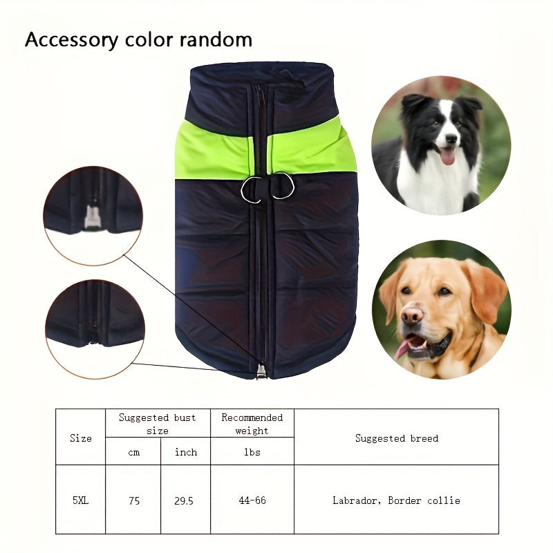 Windproof Winter Dog Jacket for Medium Breeds Polyester Zippered Warm Outdoor Apparel