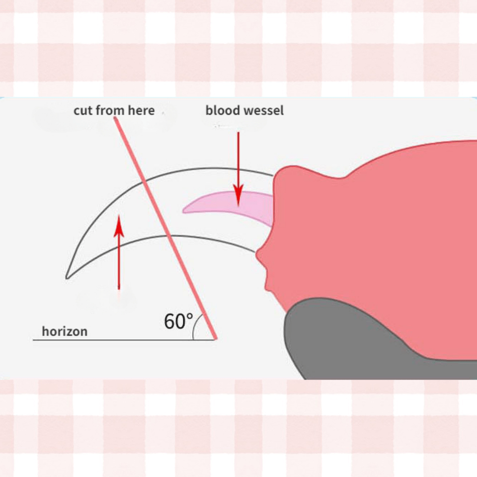 Pet Nail Clippers Stainless Steel Dual-Hole Design for Cats and Small Dogs