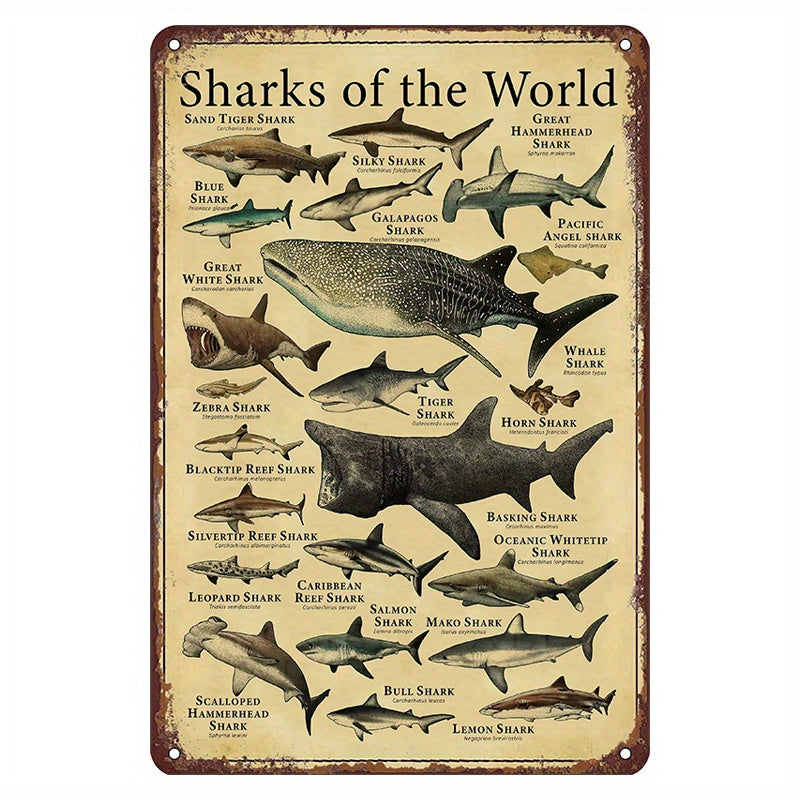 Cartel de metal Vintage Shark para decoración de bar en casa, cafetería o gimnasio