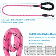 Reflective Nylon Dog Leash for Medium and Large Dogs with Stripes Pattern