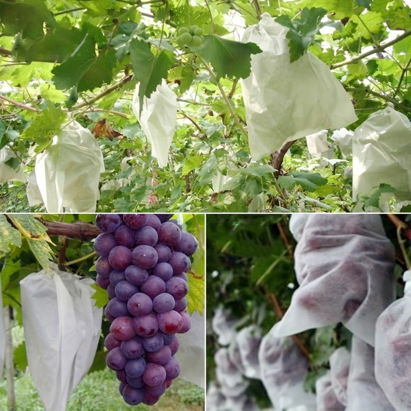 100pcs Fruit Mesh Bags Insect Proof Rainproof Breathable Plant Climbing Net Trellis Netting