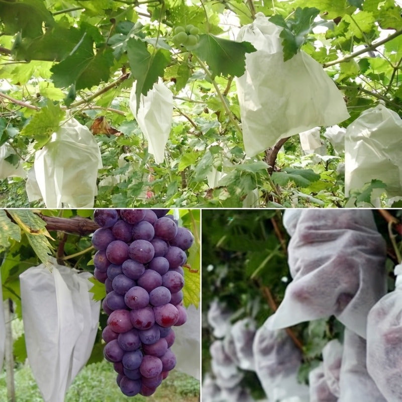 100 White Mesh Fruit Protection Bags for Insect, Rain, Bird Shielding 70 Pack