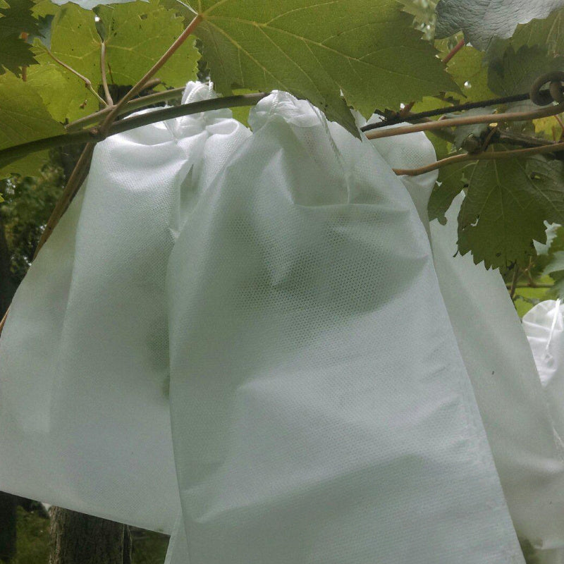 100 White Mesh Fruit Protection Bags for Insect, Rain, Bird Shielding 70 Pack