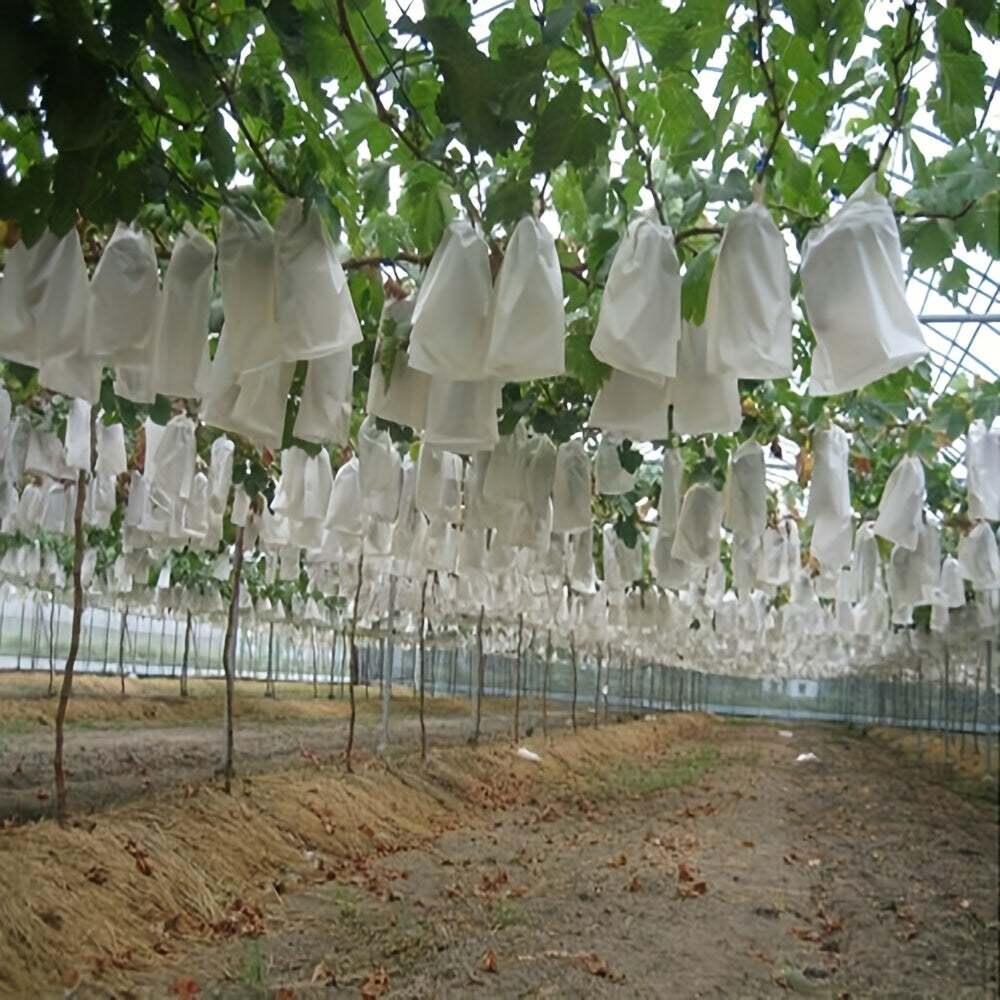 100 White Mesh Fruit Protection Bags for Insect, Rain, Bird Shielding 70 Pack