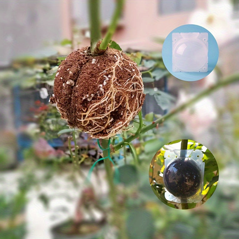 5-Pack Plant Root Growing Box for Cloning Trees No Electricity Needed Plant Propagation Kit