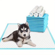 Pañales desechables para perros 20-100 unidades, a prueba de fugas, control de olores, absorbentes, entrenamiento para ir al baño