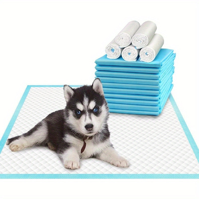 Pañales desechables para perros 20-100 unidades, a prueba de fugas, control de olores, absorbentes, entrenamiento para ir al baño