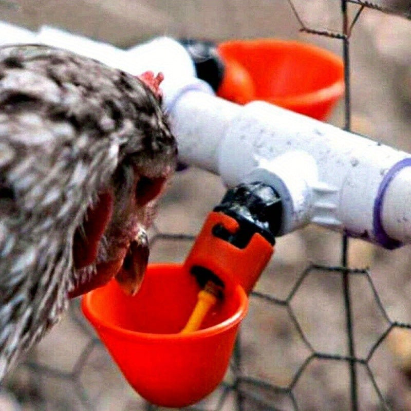 5/10/20 dona avtomatik qushlar uchun suv idishlari, tovuq va parrandalar uchun