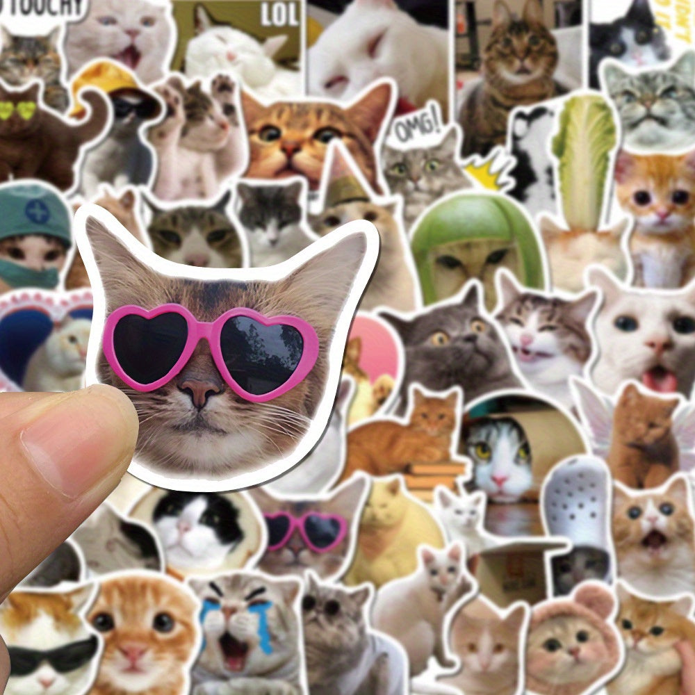 50 Hilarious Cat Vinyl Stickers Waterproof Reusable for Laptops Water Bottles and More