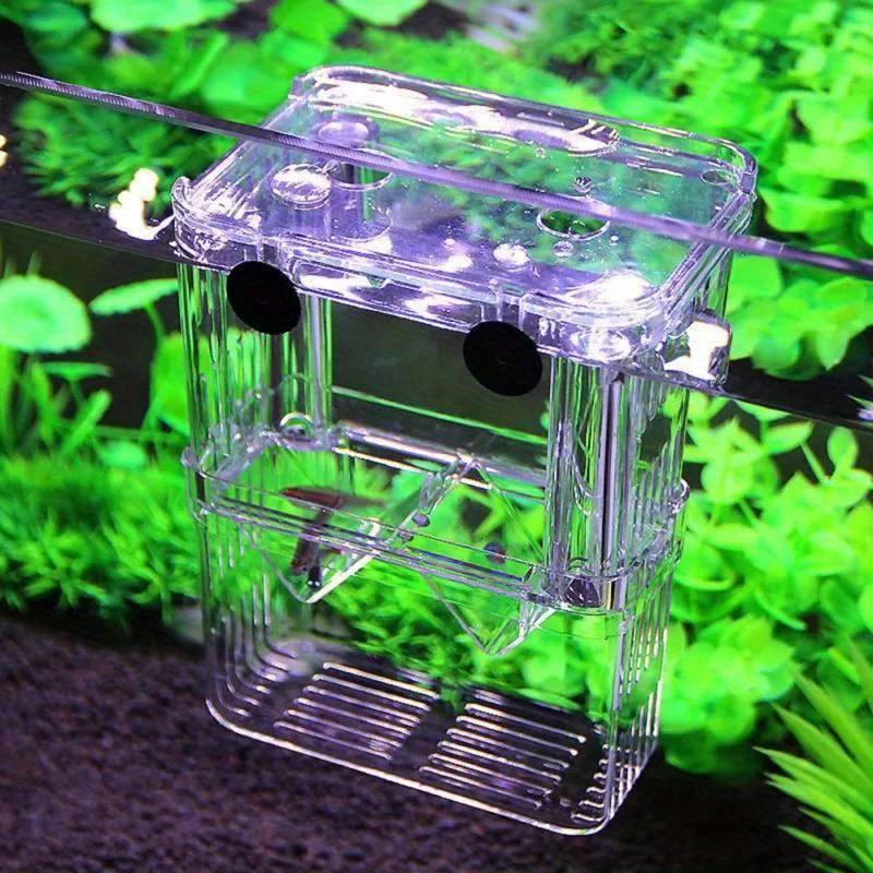 Square Fish Breeding Isolation Box for Guppies No Battery Needed