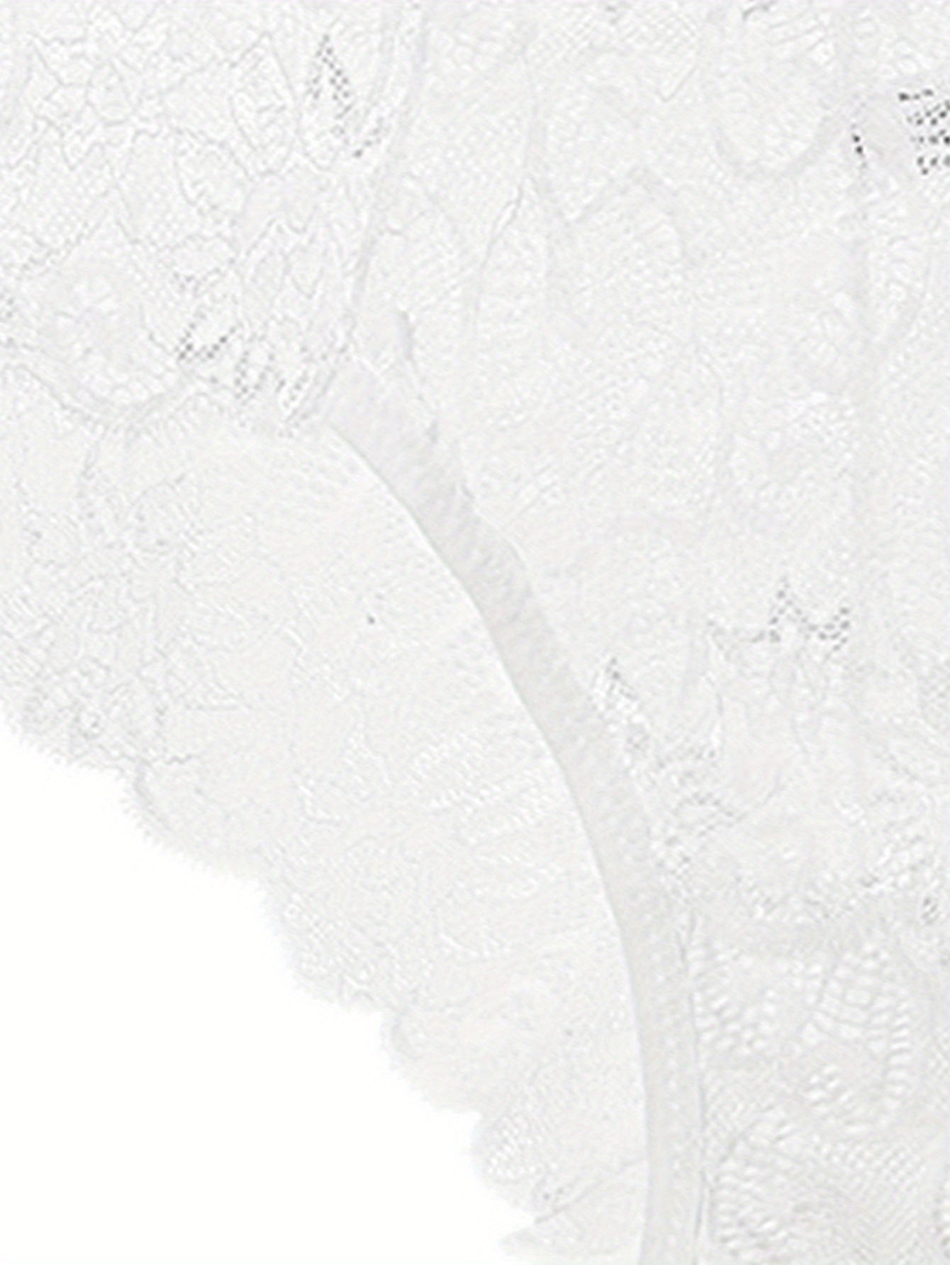 Women's Seamless Floral Lace Briefs and Semi-Sheer Panties Lingerie