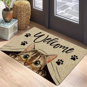 Polyester Cat Entrance Floor Mat Non-Slip Stain-Resistant Indoor Outdoor