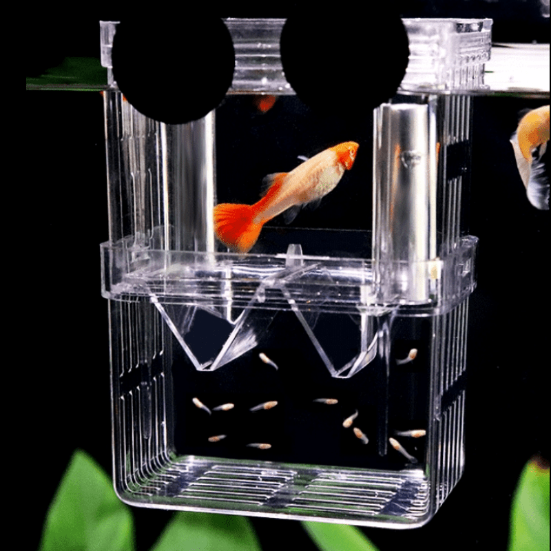Square Fish Breeding Isolation Box for Guppies No Battery Needed