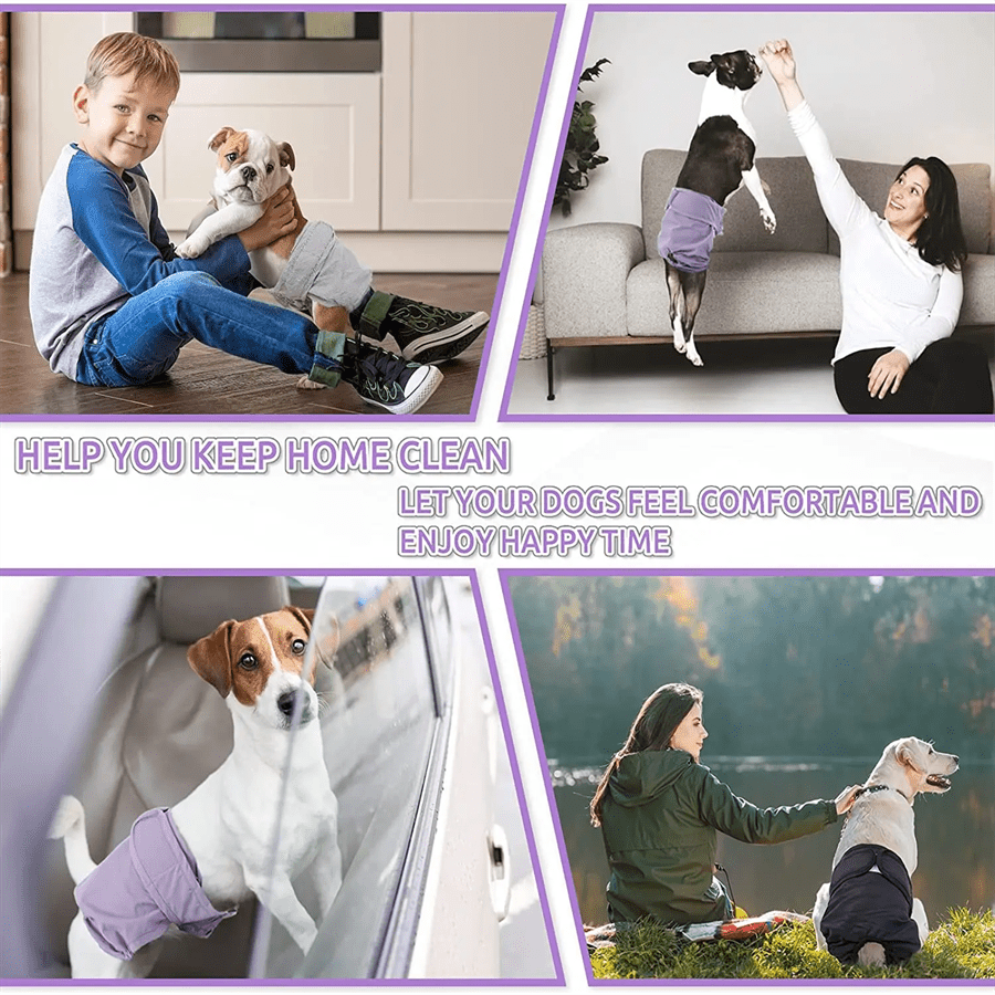 Yuqori sifatli qayta ishlatiladigan urg'ochi itlar uchun pamperslar, qulay moslashuv uchun sozlanadigan tugmalar bilan. Issiqda yoki siydikni nazorat qila olmaydigan itlar uchun ideal. Yuvilishi mumkin va turli zotlar uchun mos keladi.