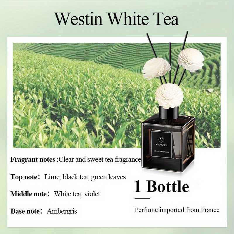 50ml Black Glass Aromatherapy Diffuser with Long-Lasting Fragrance for Bathrooms and Bedrooms