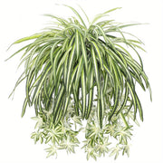 Artificial Plant, Faux Spider Plants, Lifelike Fabric, Home Office Decor