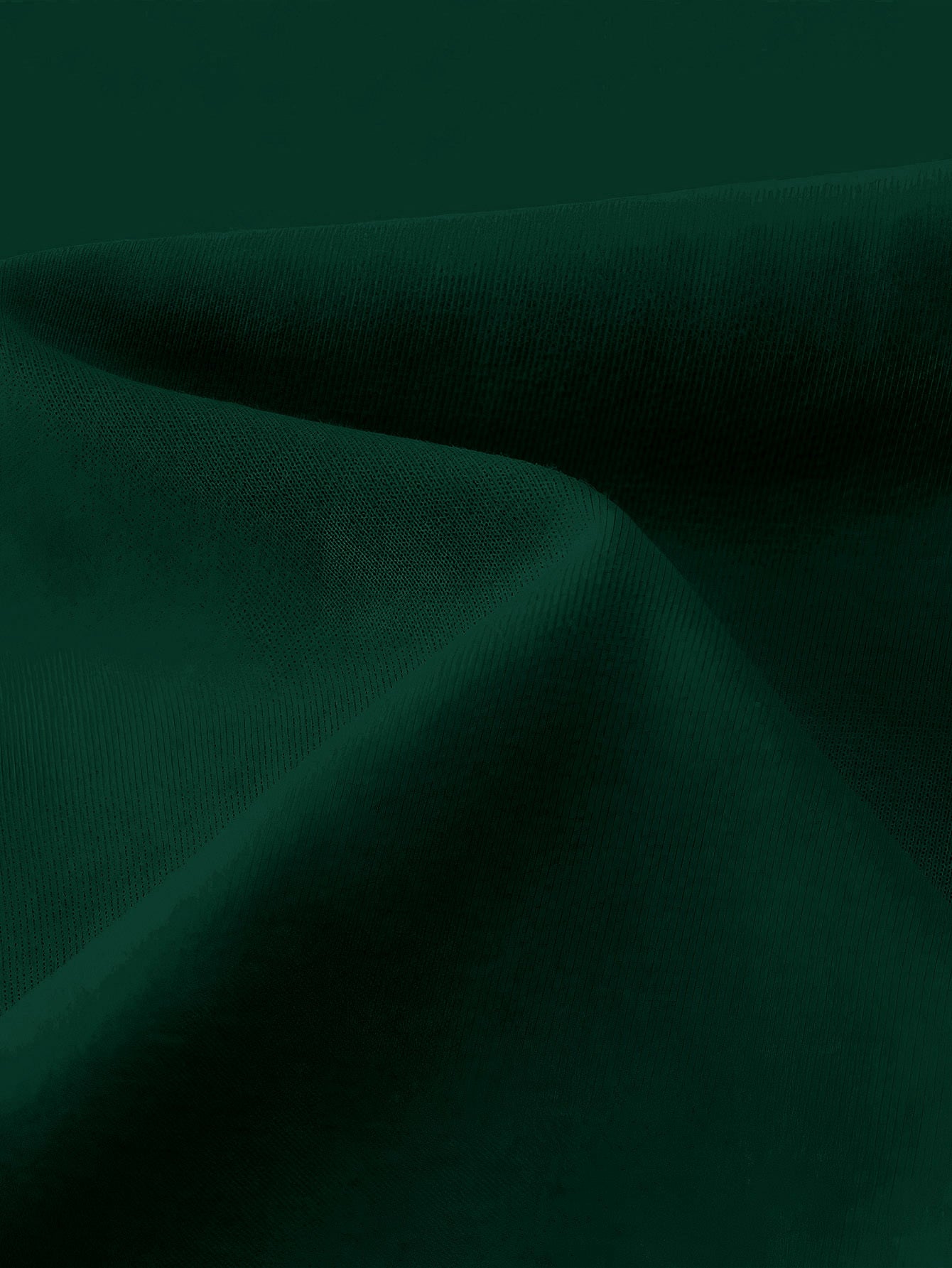 Plus Size Women's Solid Long Sleeve Crew Neck Sweatshirt Casual Fall Spring