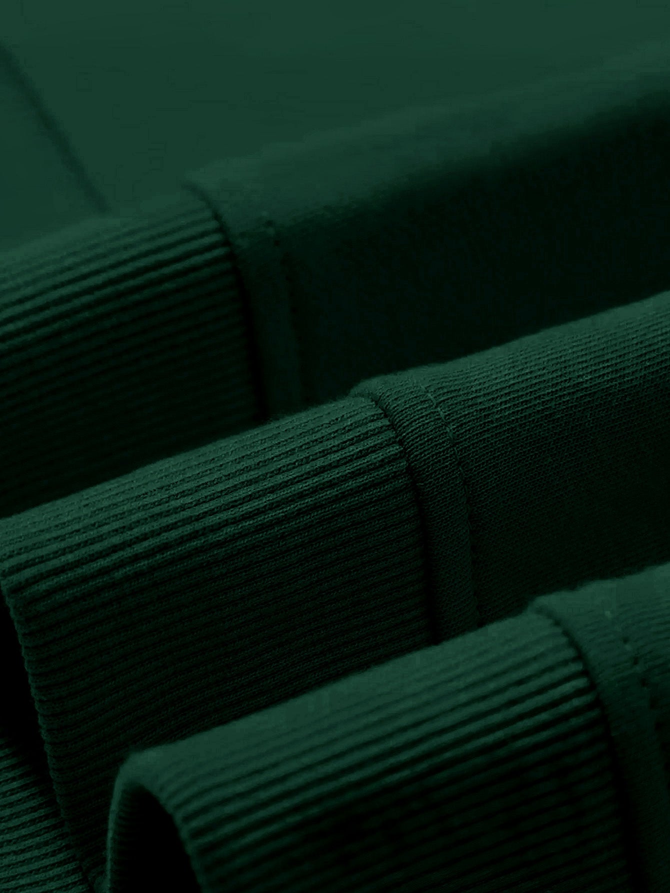 Plus Size Women's Solid Long Sleeve Crew Neck Sweatshirt Casual Fall Spring