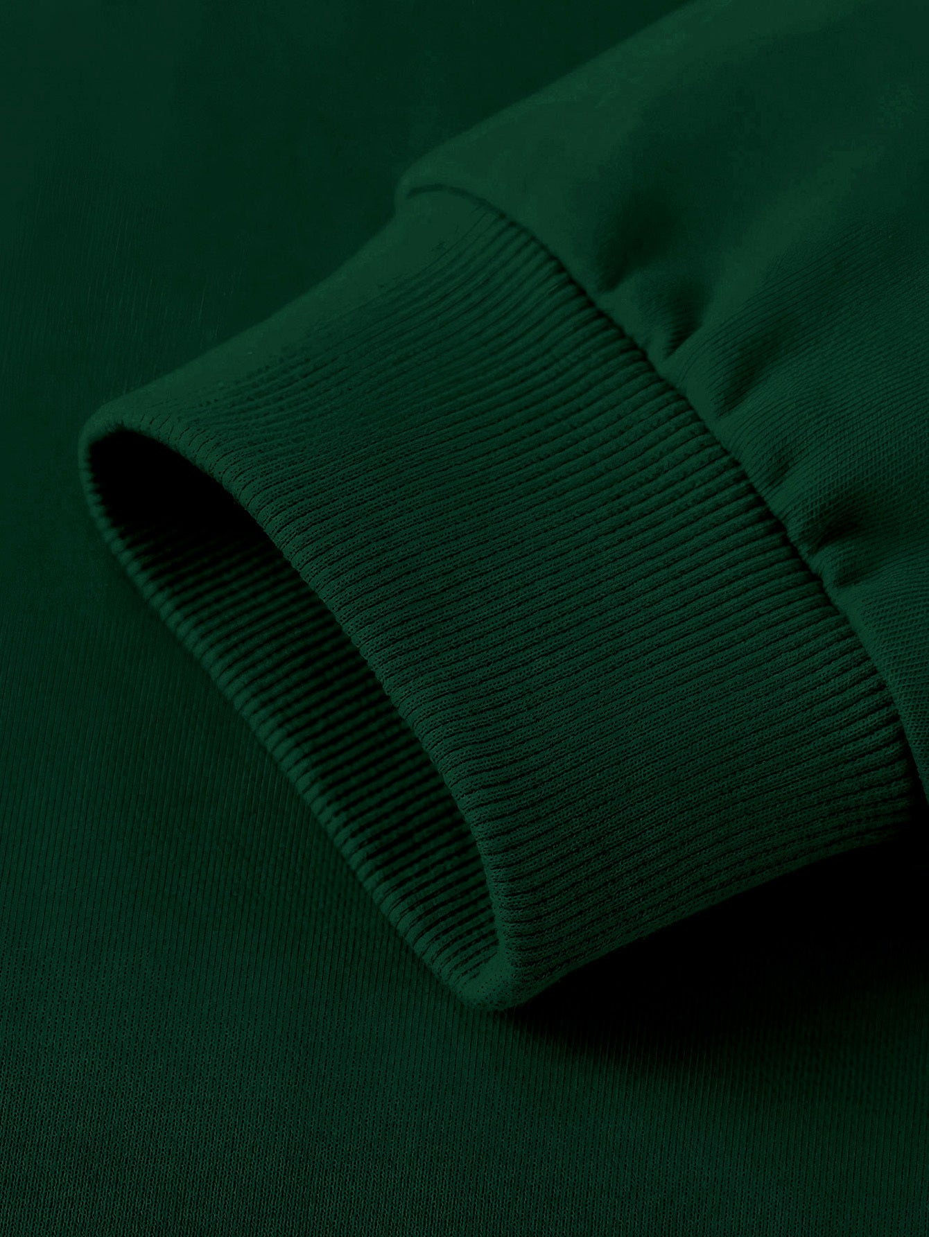 Plus Size Women's Solid Long Sleeve Crew Neck Sweatshirt Casual Fall Spring