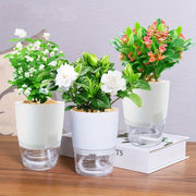 Self-Watering Plastic Planters with Watering Bottle for Indoor Herbs and House Plants Set of Three