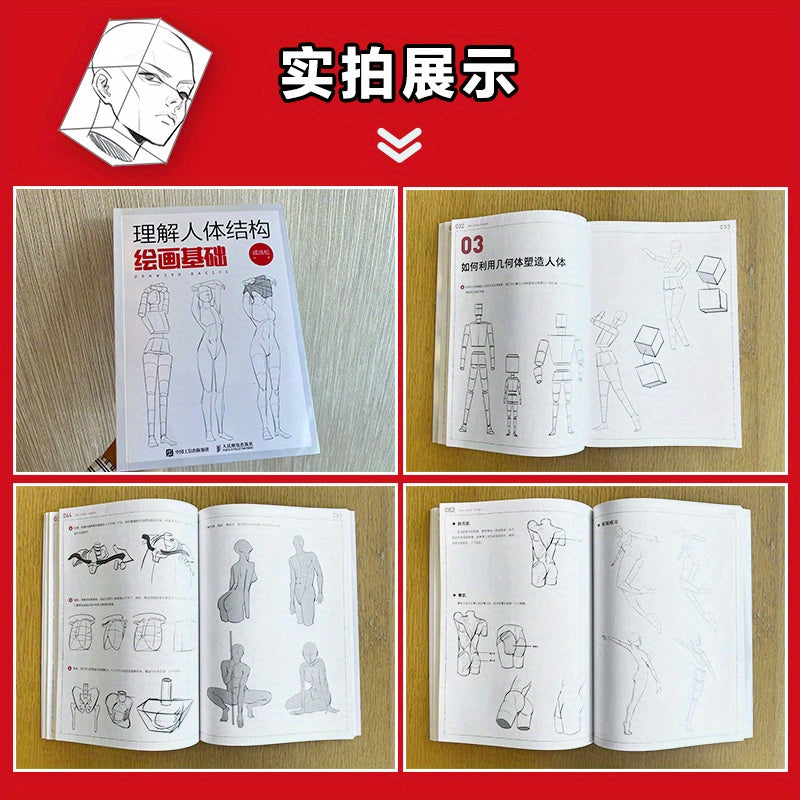 Human Body Structure Drawing Book for Beginners Simplified Chinese Edition