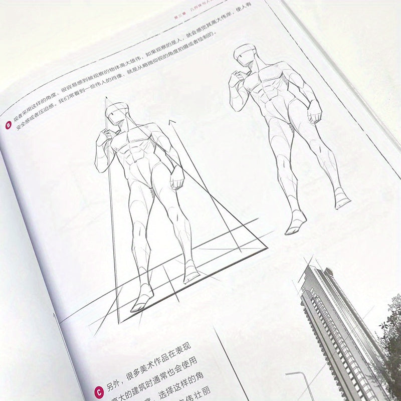 Understanding Human Body Structure Principles Book for Teens Chinese Perspective