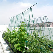 10 Green Plant Support Rattan Racks for Tomatoes Cucumbers Grapes Durable PE Material Set of 10