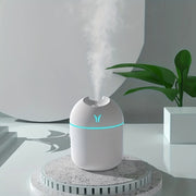 Portable USB Humidifier with Night Light and Aroma Diffuser for Home Car Plants