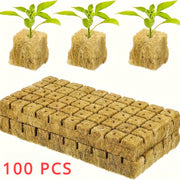 100 EcoGrow Rockwool Hydroponic Grow Cubes for Seed Germination and Vegetative Growth