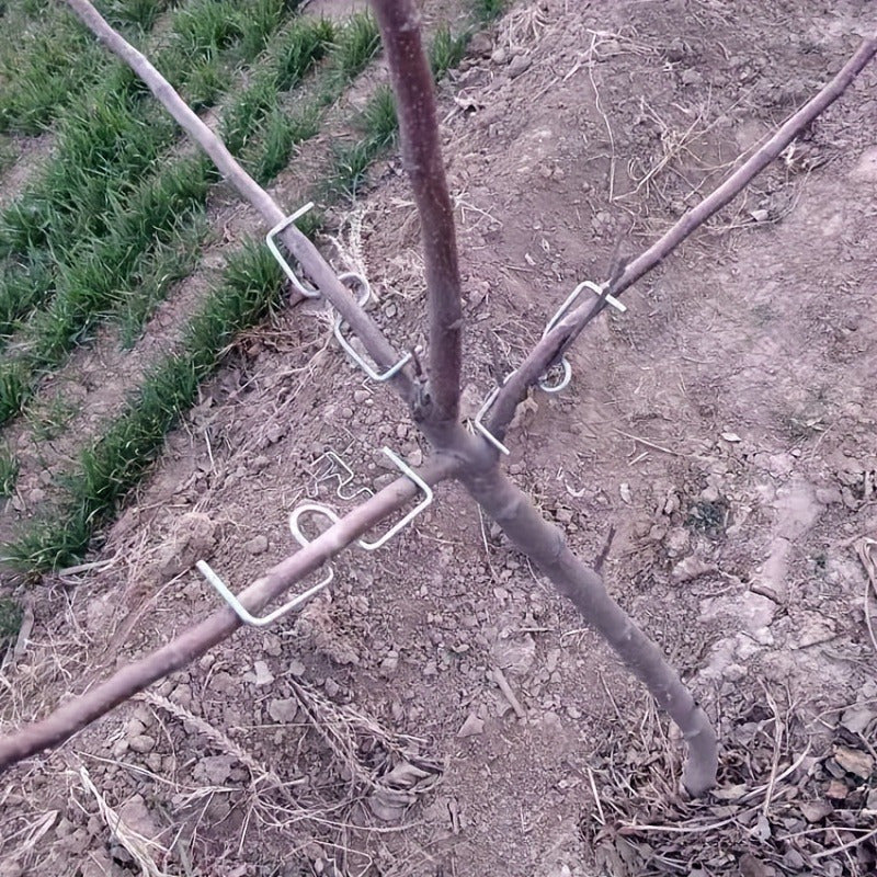 50-Donali metall meva daraxti shoxini egish va bog' bog' qilish uchun to'plam