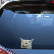 Funny Cat Vinyl Decal Sticker Weather-Resistant for Cars Laptops Motorcycles