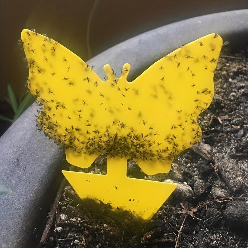 5-to'plam Sariq Chivinlarni O'ldiruvchi Qoliplar, Zararsiz, Bardoshli PP Material