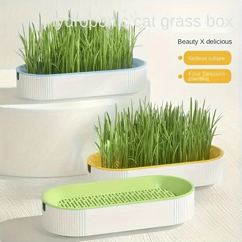 Hydroponic Catgrass Planter Kit Plastic No Battery Durable Growing Fresh Cat Food