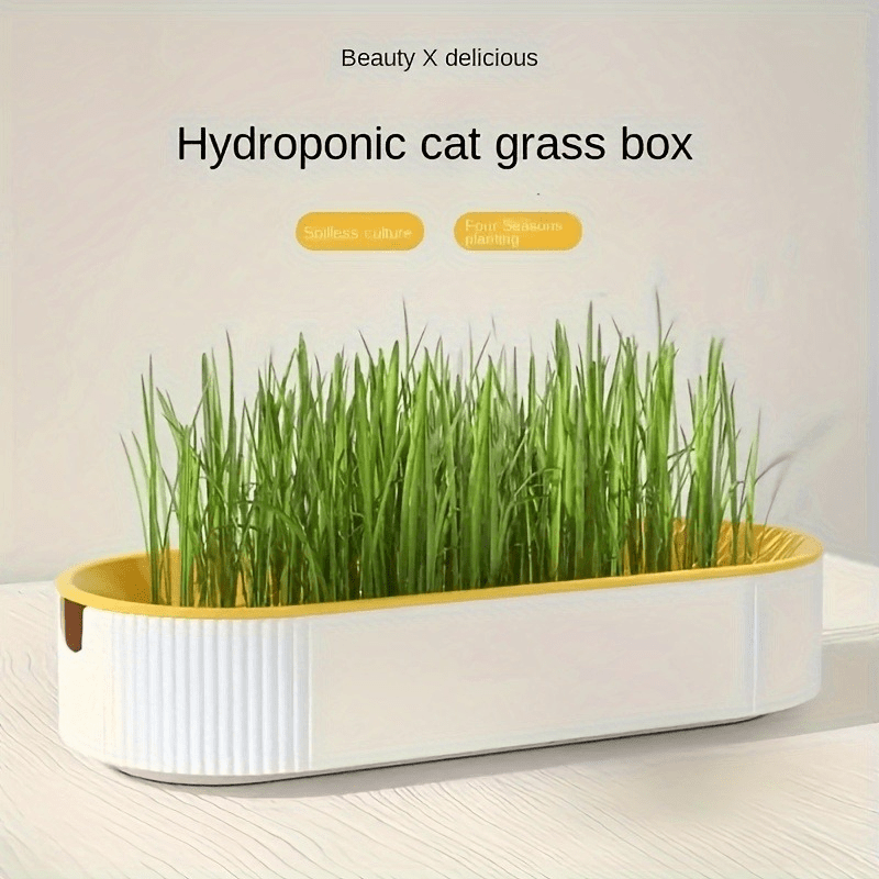 Hydroponic Catgrass Planter Kit Plastic No Battery Durable Growing Fresh Cat Food