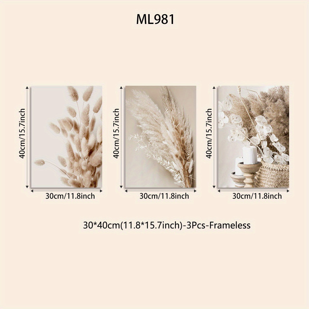 3-Piece Frameless Canvas Wall Art Set Botanical Prints Pampas Grass Reed Leaves Modern Minimalist Decor