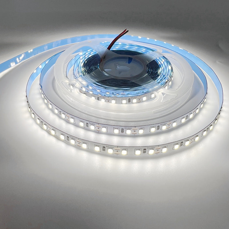 24V LED Light Strip 10 Meters Warm White Natural White Cold White SMT SMD for Home Kitchen Bedroom