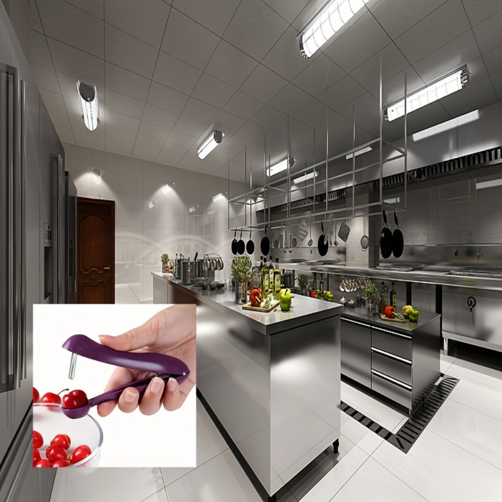 Stainless Steel Cherry and Olive Pitter Kitchen Tool for Outdoor Cooking