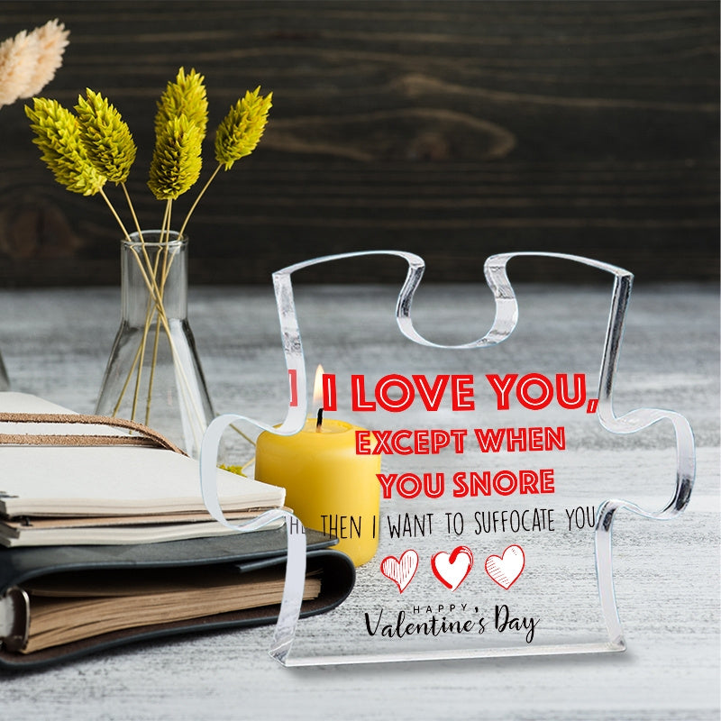 Valentine's Day Acrylic Puzzle Piece Stand Funny Quote Gift for Friend or Partner