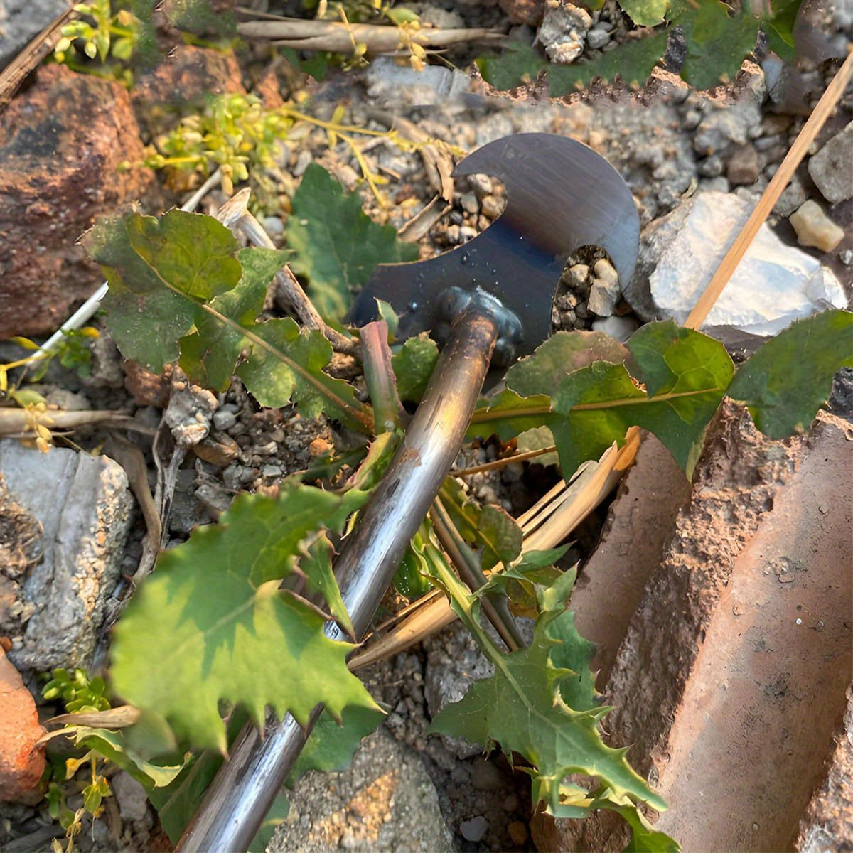 Metal Garden Weeding Tool with 4-Prong Curved Design for Narrow Spaces