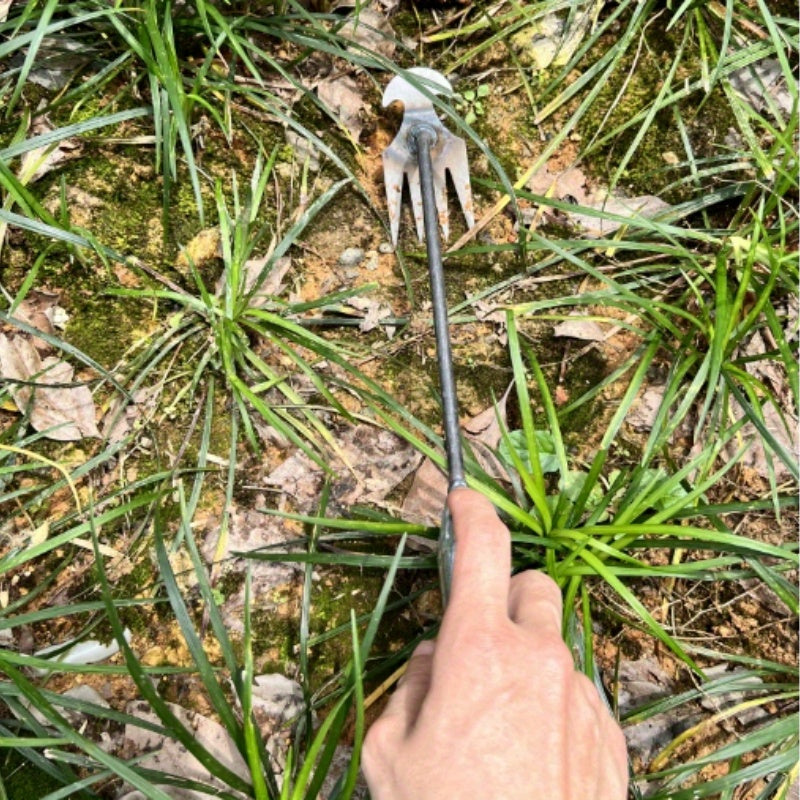Metal Garden Weeding Tool with 4-Prong Curved Design for Narrow Spaces