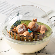 10 ta aniq doira shaklidagi mousse tort konteynerlari, ovqatga xavfsiz, pikniklar, lagerlar, tug'ilgan kunlar uchun