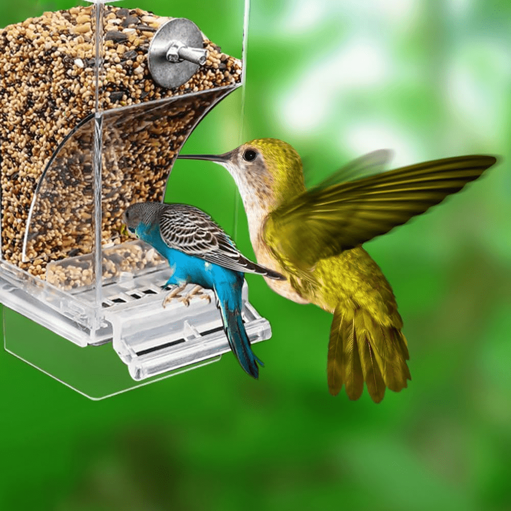 Acrylic Bird Feeder Cage-Mounted Automatic No Battery Parakeet Medium Bird Anti-Splatter